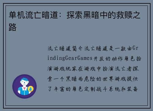 单机流亡暗道：探索黑暗中的救赎之路